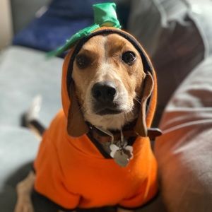 Meet your Posher, Pam